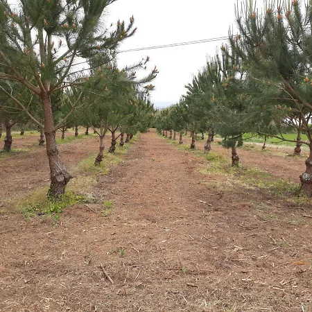 Casa Branca Do Moinho