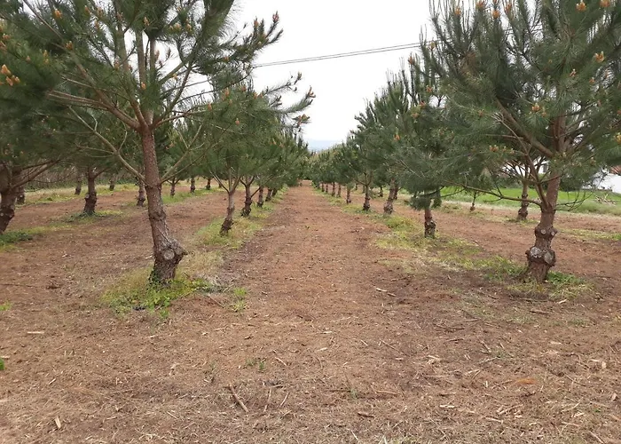 Casa Branca Do Moinho